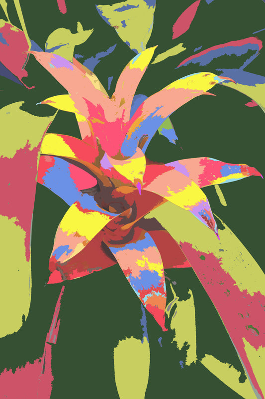 Botanical Gardens #300D Composite