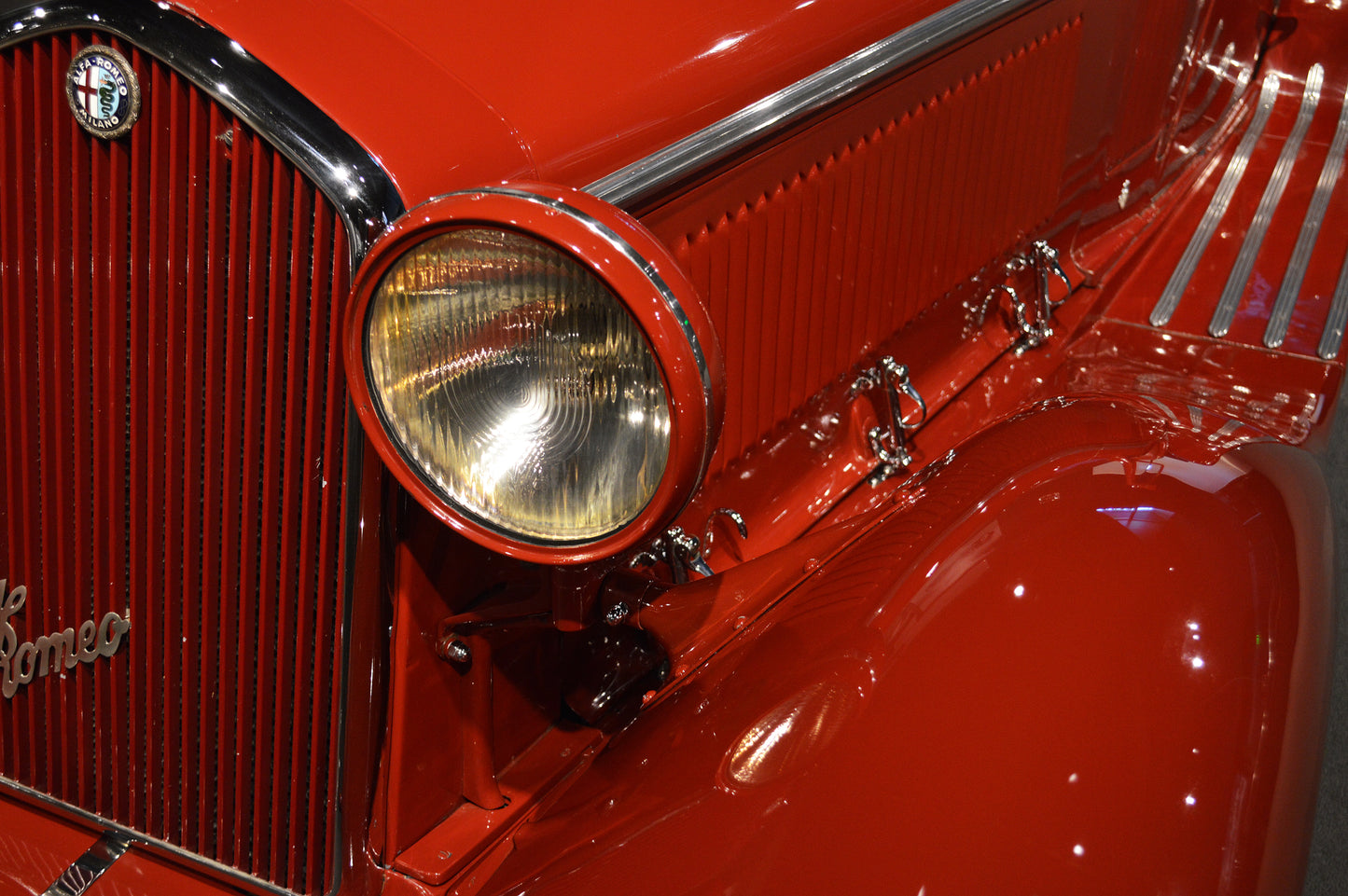 Red Beauty 20" x 30"