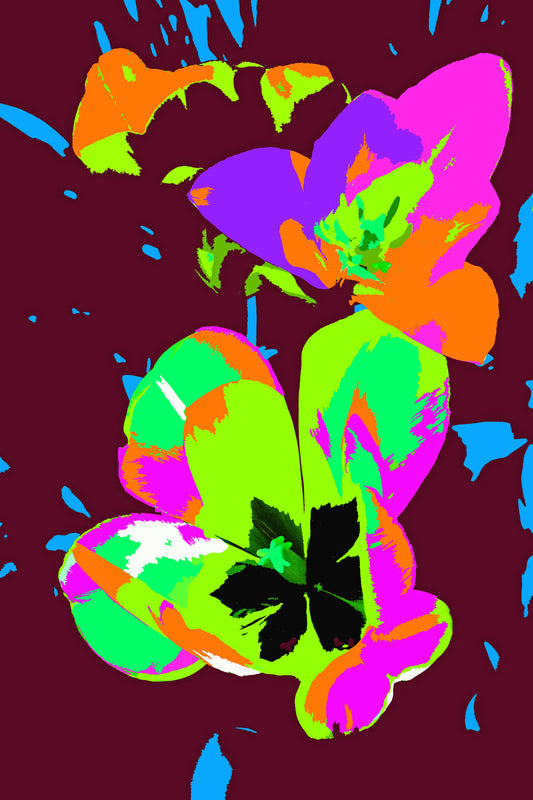 Tulip Variation #805A