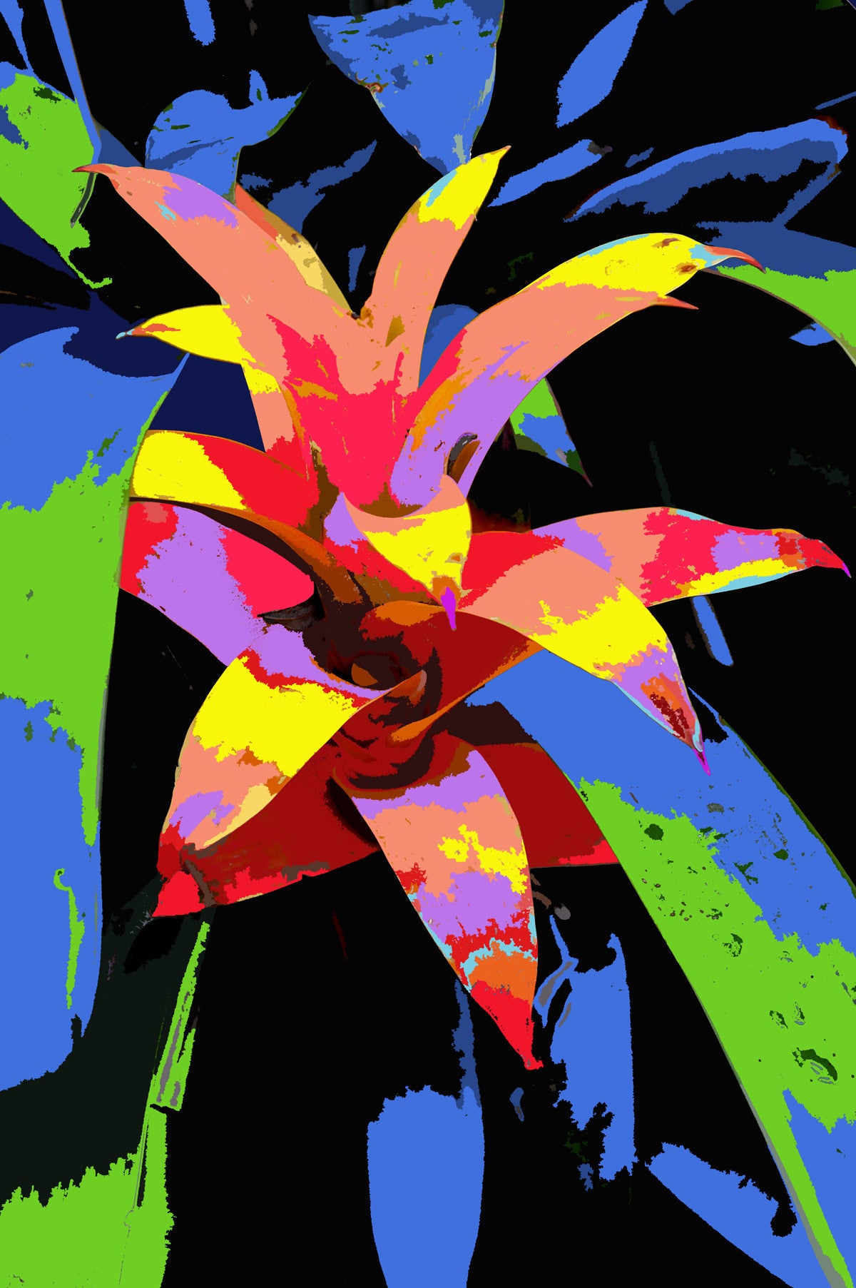 Botanical Gardens #300A Composite