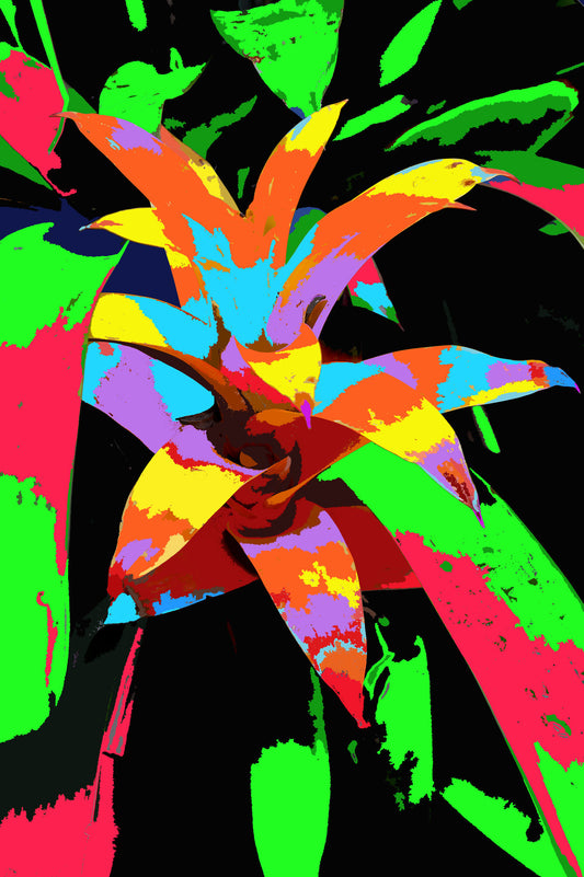 Botanical Gardens Bromeliad #300B Composite