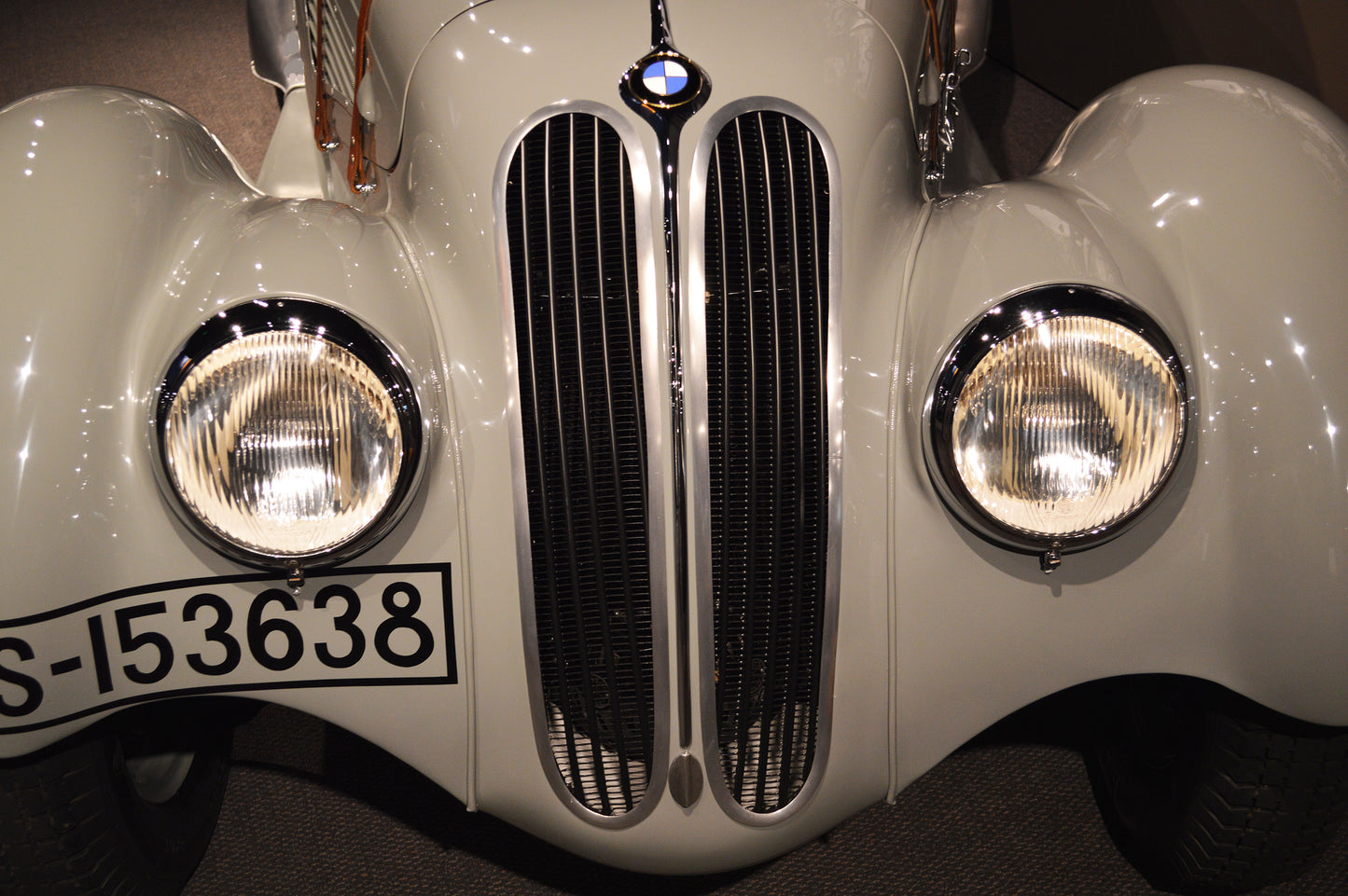 Twin Headlights 20" x 30"