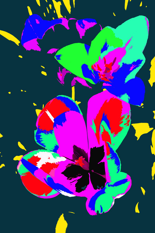 Tulip Variation #805D